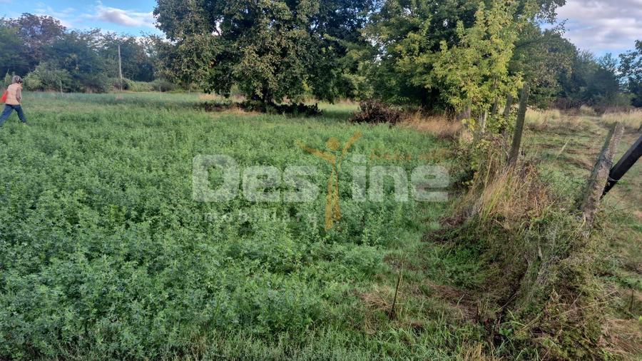Teren agricol intravilan de 1667 mp, în Huși