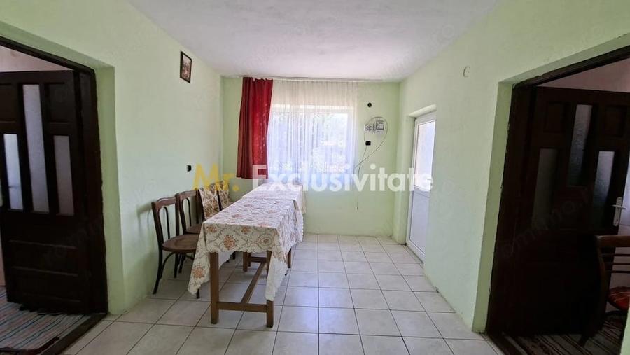 Casă cu Teren 1667 Mp în Teiu