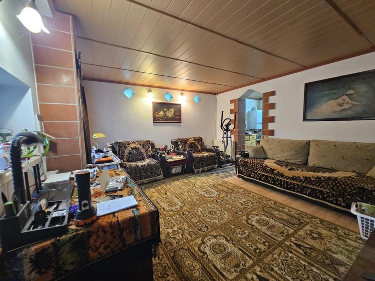 Casa Bacia, judet Hunedoara - 7