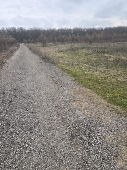 Teren Construcții intravilan de 741 mp, în Băneasa