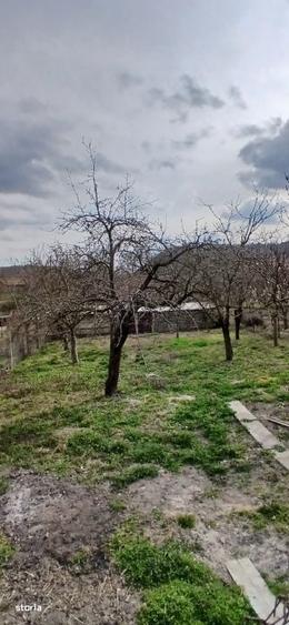 Casă cu 3 camere în Bădeni