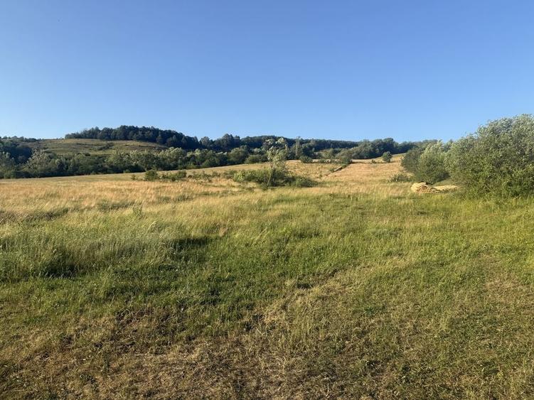 Teren de 7300 mp, în Șardu