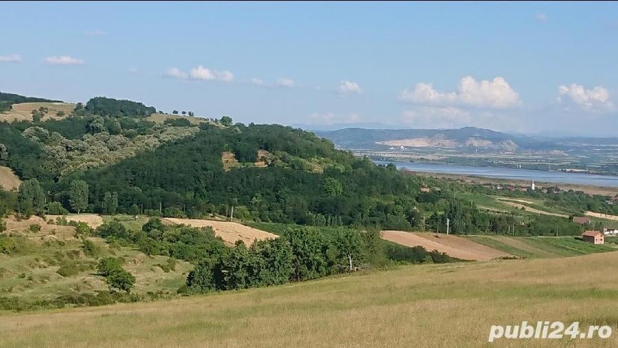 Teren,8700 m2,cu priveliste frumoasa. - 10