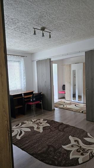 Apartament cu 2 camere nedecomandat, mobilat în Șagului — fotografia 2