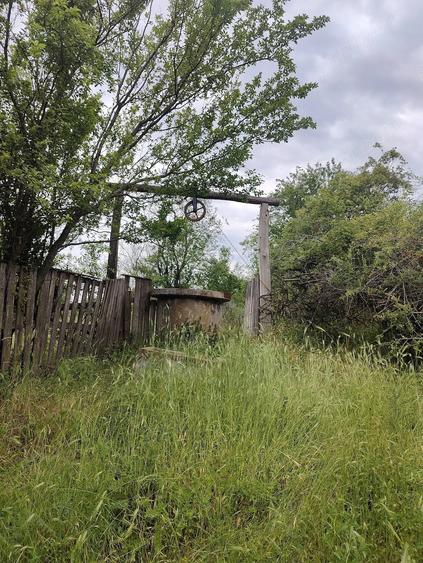 Casă cu 2 camere cu Teren 1800 Mp în Lunca