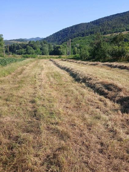 Teren de 1500 mp, în Central