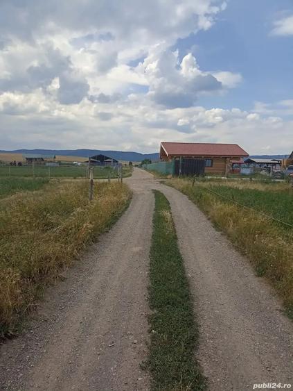 Teren de 400 mp, în Central