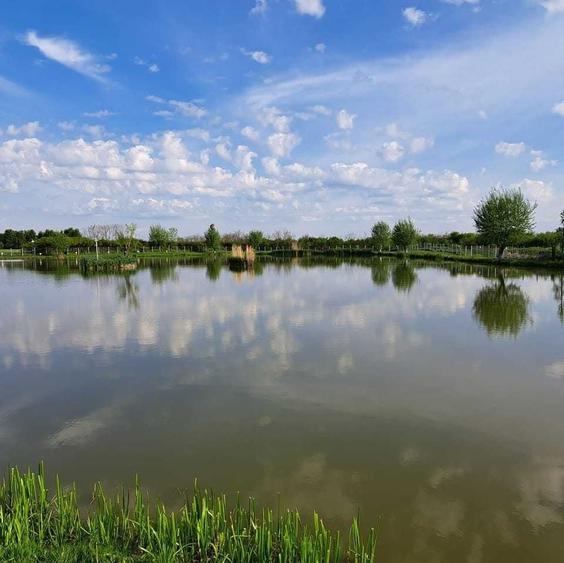 Vand balta de pescuit in Boghis, Satu Mare 2 Ha Intravilan front 185 m - 1