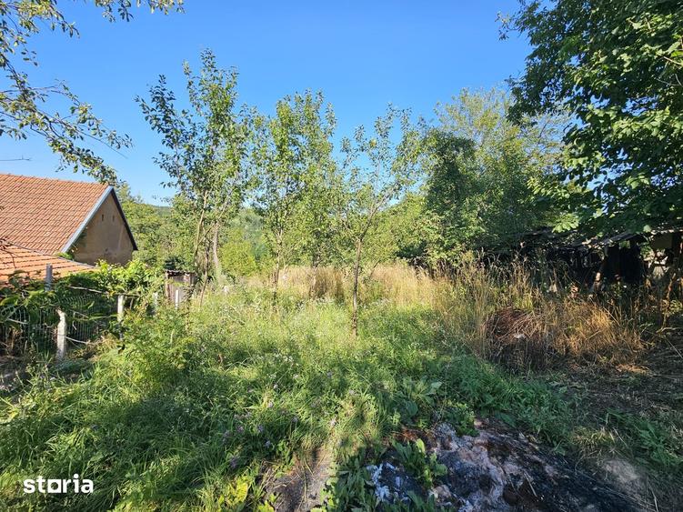 Casă cu 3 camere cu Teren 8338 Mp în Dobra