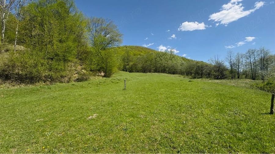 Teren de 1801 mp, în Valea Borului