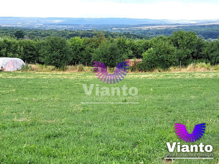 Teren agricol extravilan de 6200 mp, în Rășinari