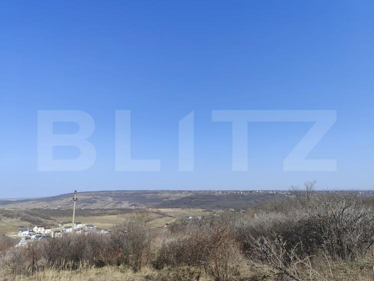 Teren Construcții intravilan de 10000 mp, în Șorogari
