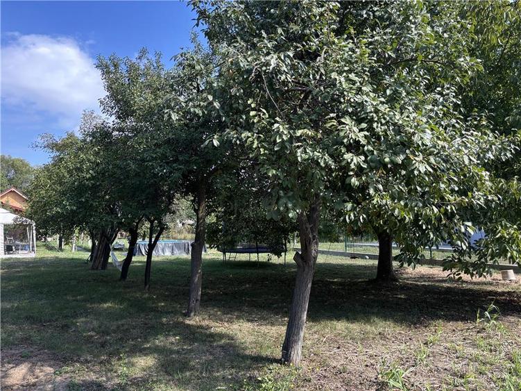 Teren intravilan de 539 mp, în Plopi