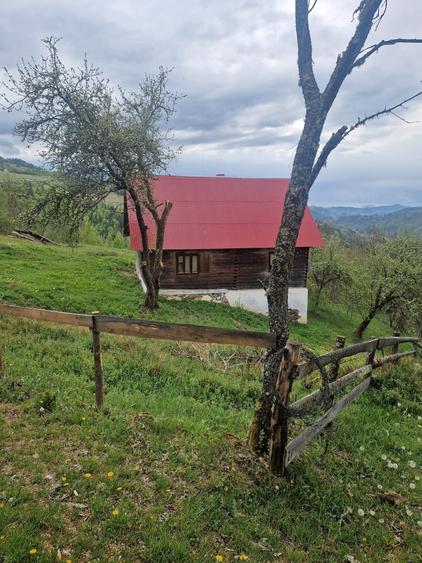 Casă cu 4 camere în Prelucă