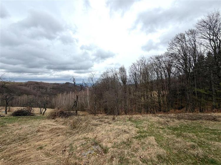 Teren agricol extravilan de 34000 mp, în Șerani
