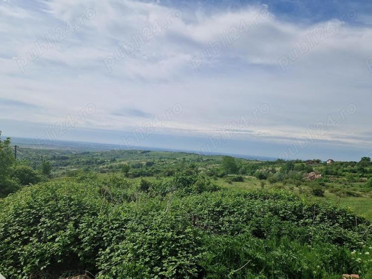 Teren de 18000 mp, în Seciu