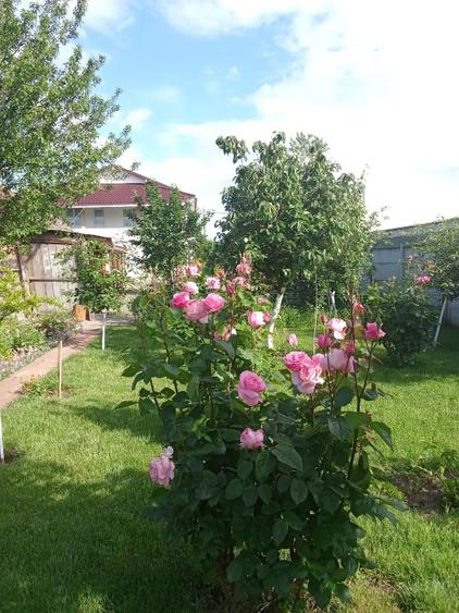 Casă individuală cu 5 camere cu Teren 1124 Mp în Popoveni