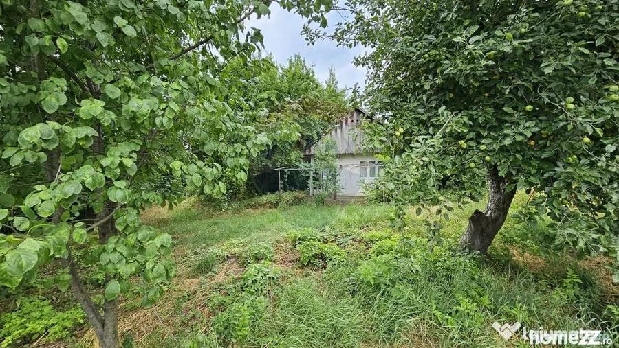 Teren de 2036 mp, în Pădureni (Șendriceni)