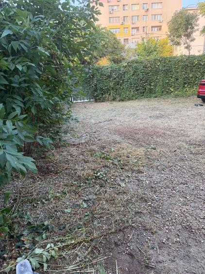 Teren Construcții intravilan de 250 mp, în Domenii