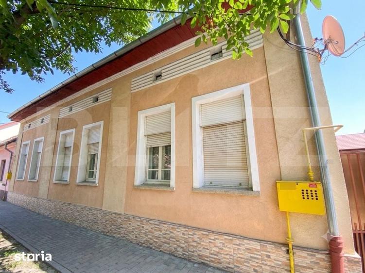 Casa individuala 7 camere, 220 mp utili, teren 1.126 mp, zona Iosefin - 8