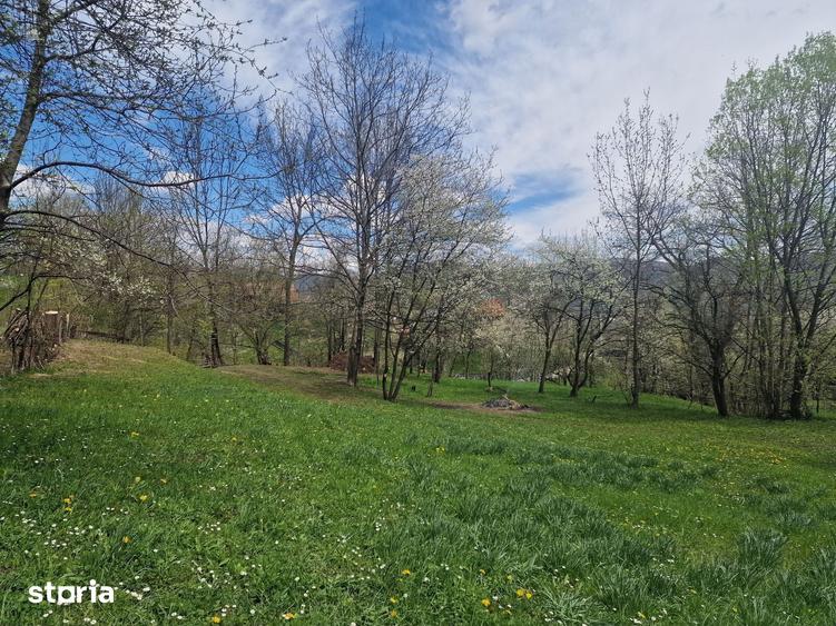 Teren de 12000 mp, în Ghioșești