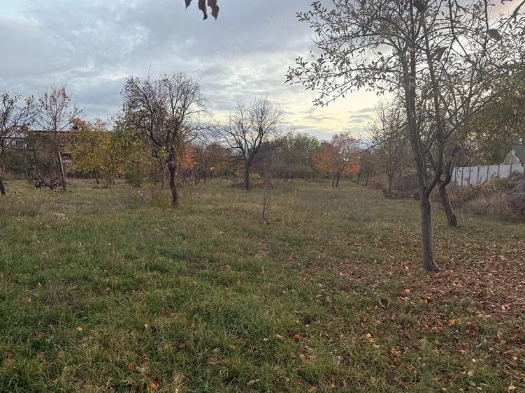 Teren de 3000 mp, în Central