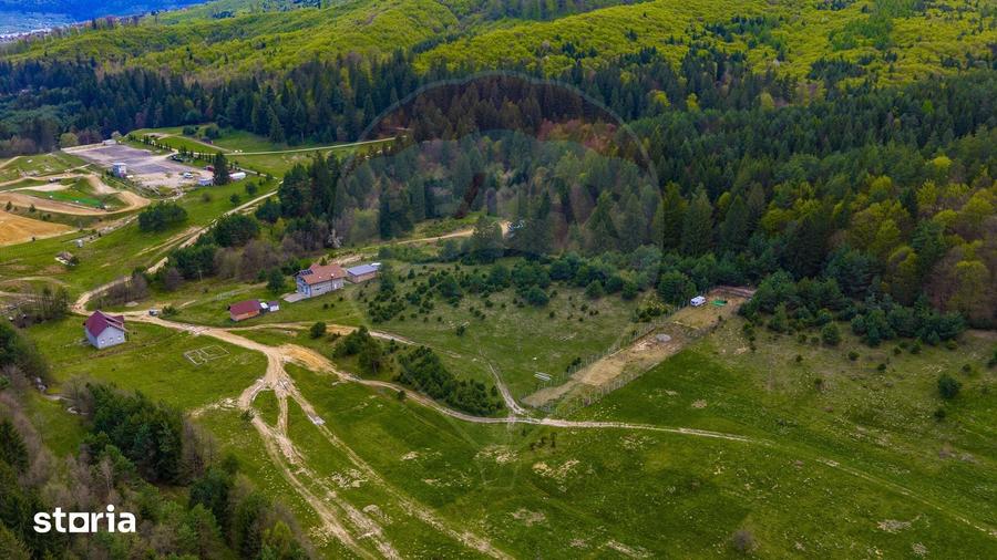 Teren de 10000 mp, în Brebina