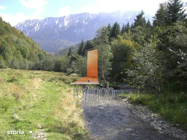 Teren Barsa lui Bucur, Plaiul Foii, Zarnesti - 2