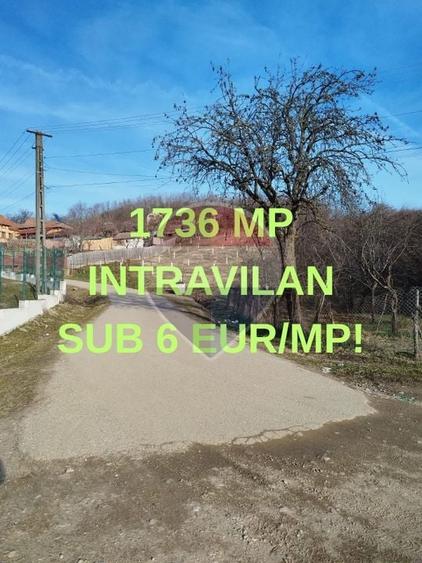 Teren agricol intravilan de 1736 mp, în Chițești