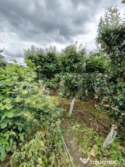 Casă cu 4 camere cu Teren 2795 Mp în Central