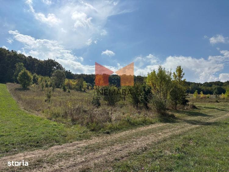Teren intravilan construibil Livezeni 3000 mp - 1