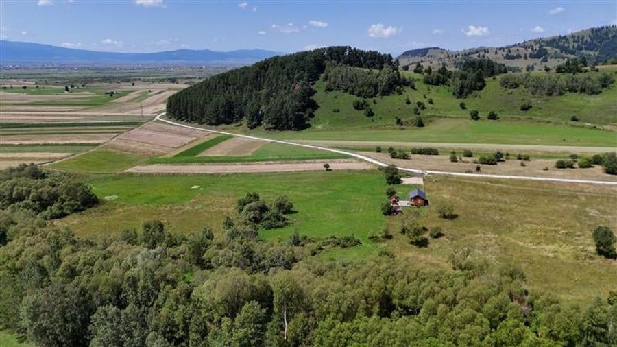 Teren Construcții extravilan de 6600 mp, în Valea Strâmbă