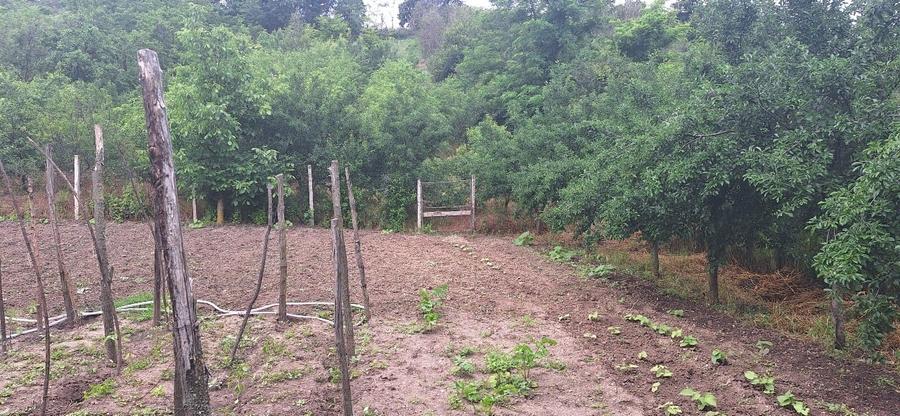 Casă individuală cu 3 camere cu Teren 3400 Mp în Icoana