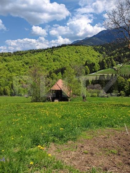 Teren Construcții intravilan de 3400 mp, în Bran
