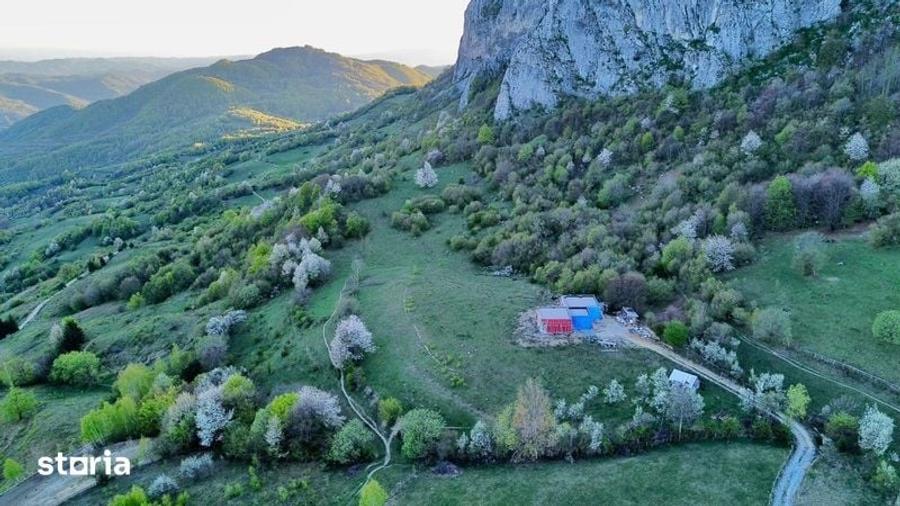 Teren de 35000 mp, în Ciuruleasa