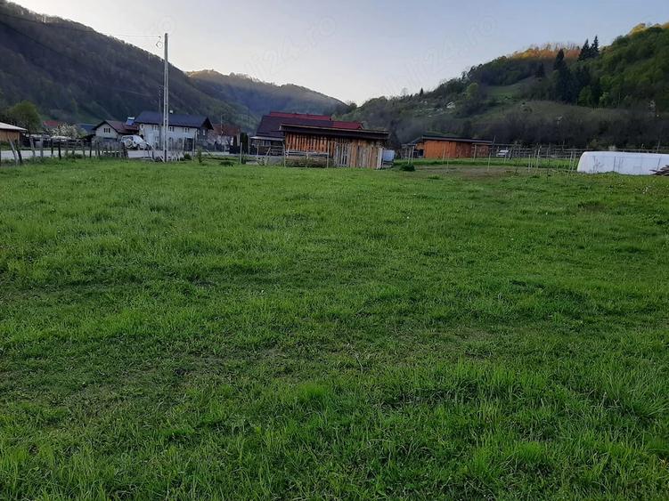 Teren de 1000 mp, în Telciu
