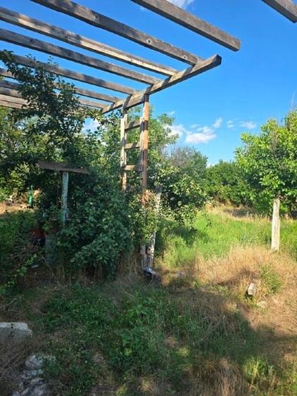 Teren Construcții intravilan de 3300 mp, în Bogata