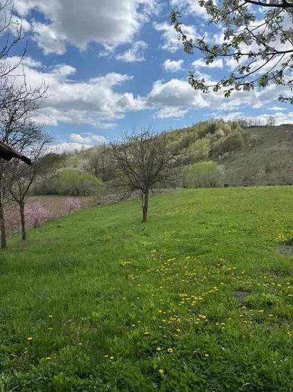Casă cu Teren 3384 Mp în Bârsănești