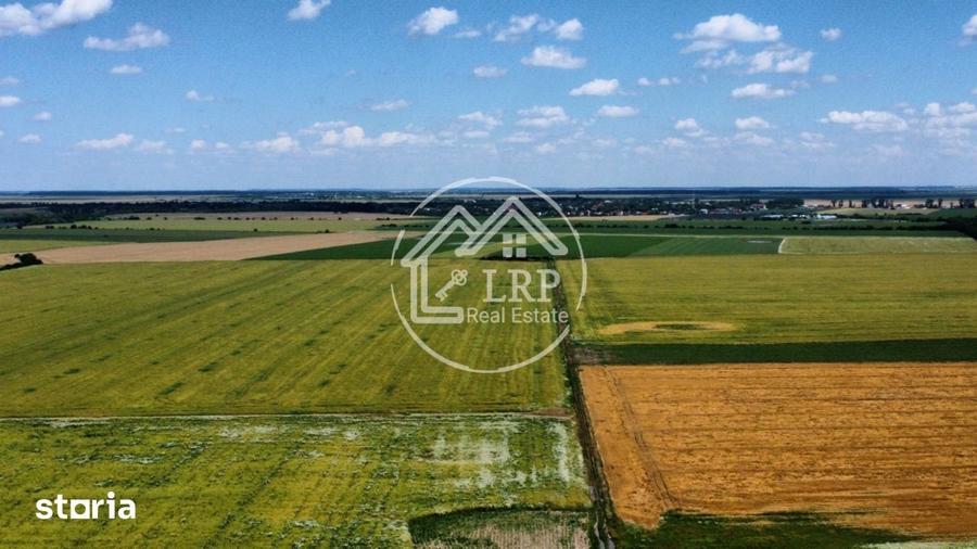 Teren de 20000 mp, în Dascălu