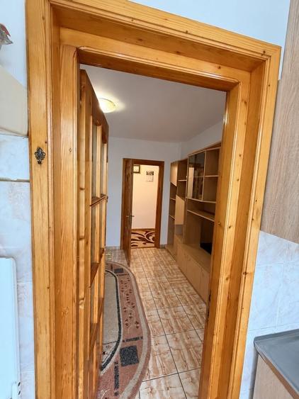 Apartament cu 2 camere în Paltin