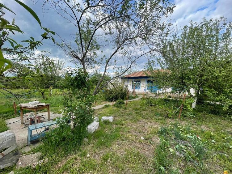 Casă individuală cu 3 camere cu Teren 2000 Mp în Stănești