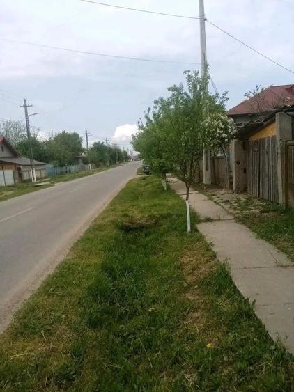 Teren de 700 mp, în Băcălești