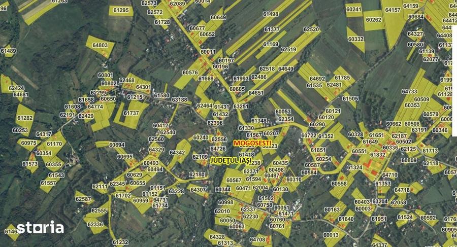 Teren de 9000 mp, în Mogoșești