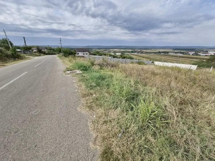 Teren de 900 mp, în Brădești