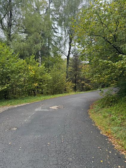 Teren Construcții intravilan de 4629 mp, în Poiana Brașov