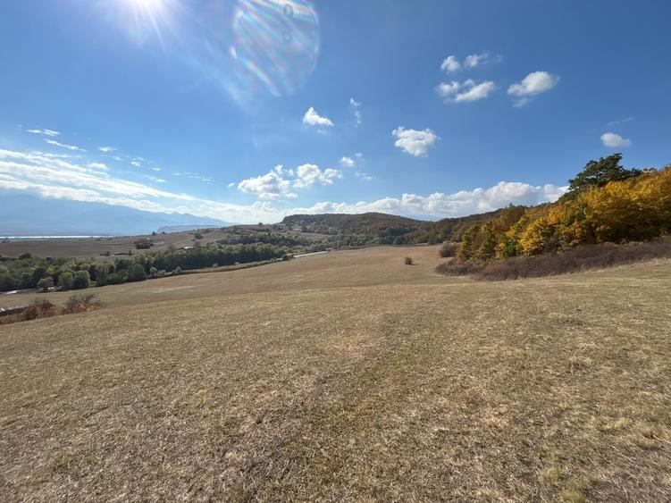 Teren agricol extravilan de 8300 mp, în Bradu