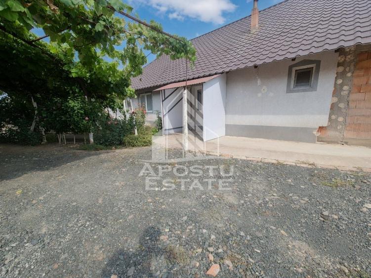 Casă individuală cu 3 camere cu Canalizare în Teremia Mare