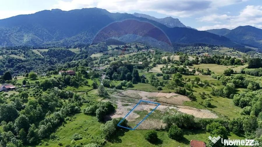 Teren de 1900 mp, în Sohodol