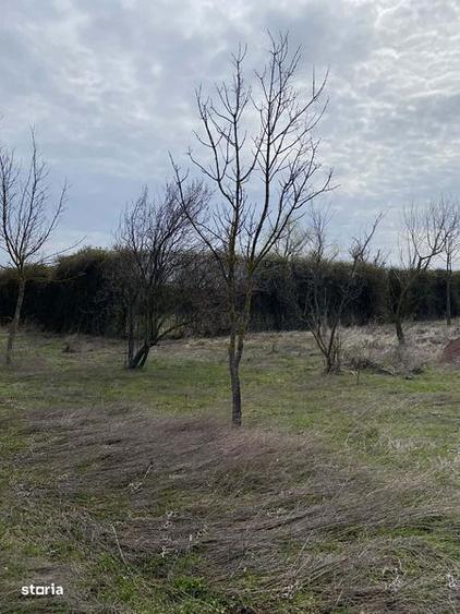 Propietate 27 .000 mp intravilan la 40 km de Bucuresti -casa ,piscina - 3