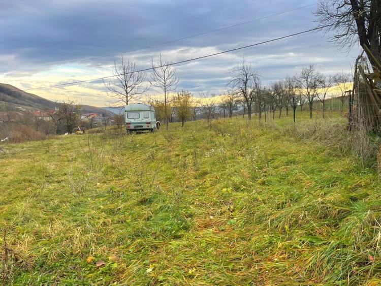 Teren Construcții intravilan de 1785 mp, în Pâclișa